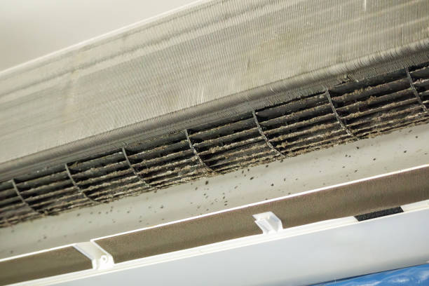 Best Best Air Duct Cleaning Company  in Cape Canaveral, FL